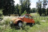 IMG 3317