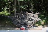 IMG 3319