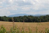 IMG 3320