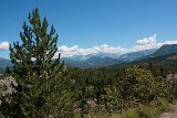 IMG 1815