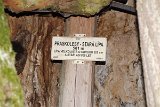 IMG 9180