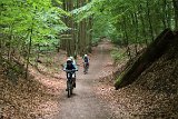 IMG 6719