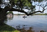 IMG 6764