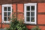 IMG 6786