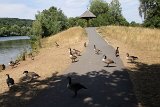 IMG 7925