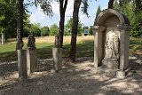 IMG 3342