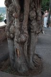 IMG 3635