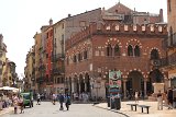 IMG 3681