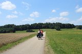 IMG 3353