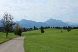 IMG 3378
