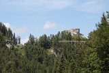 IMG 3388