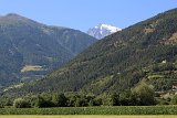 IMG 3469
