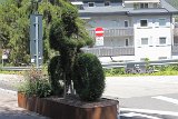 IMG 3473