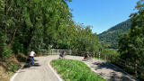 IMG 3473b