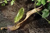 IMG 3483