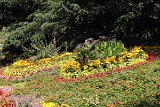 IMG 3490