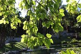 IMG 3495