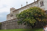 IMG 3553