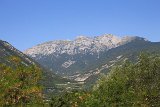 IMG 3574