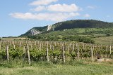 IMG 4228