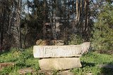 IMG 8040