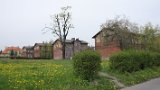 IMG 5252