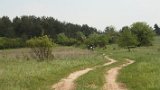IMG 1633