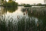 IMG 3304