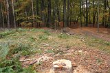IMG 4565