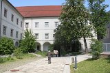 IMG 5339