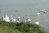 IMG 5342