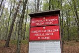 IMG 4551