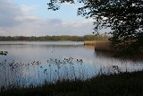 IMG 4531