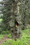 IMG 4753