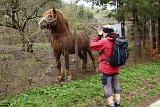 IMG 6358