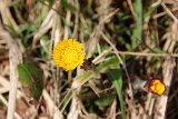 IMG 6374