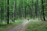 IMG 8830