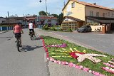 IMG 8995