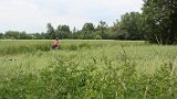 IMG 9023