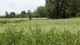 IMG 9024