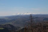 IMG 1176