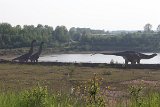 IMG 1250