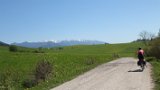 IMG 9431