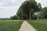IMG 1615