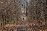 IMG 0908