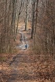 IMG 0909