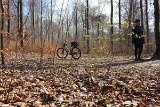 IMG 0910