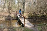 IMG 0917