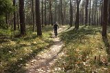IMG 0920