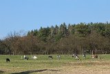 IMG 0924